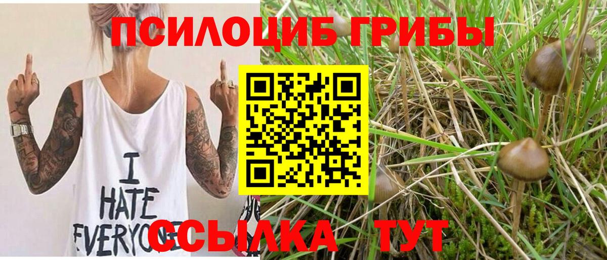 Галлюциногенные грибы прущие грибы Можга
