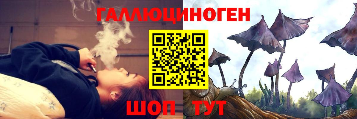 Можга  Галлюциногенные грибы Magic Shrooms  Вход с VPN 