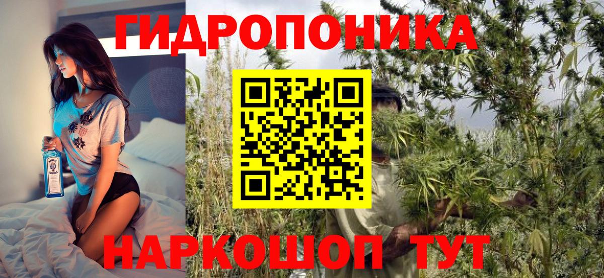Марихуана семена Можга